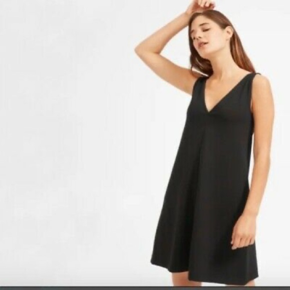 Everlane Deep V-neck Swing Dress